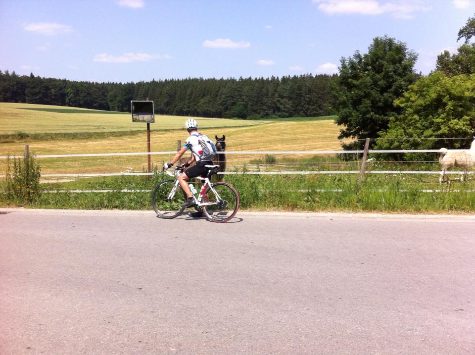 Videonatus Biketour München Augsburg - Lama unterwegs