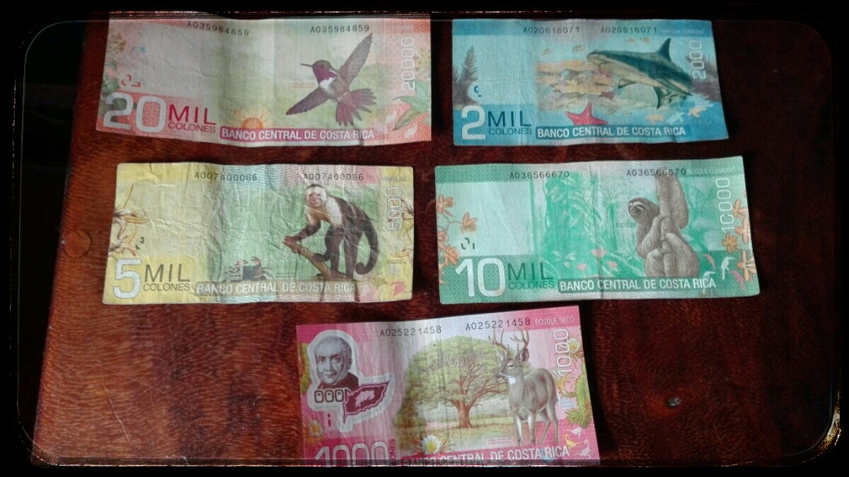 Videonauts Costa Rica money billis