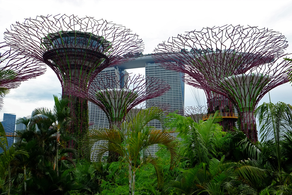 Videonauts Singapur gardens by the bay